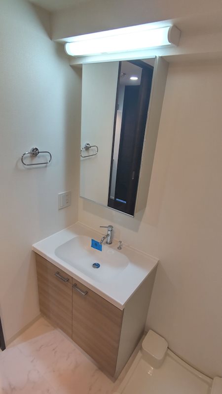 レジディア白金高輪7階 洗面