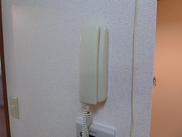ドミール鷹ノ台0201号室 セキュリティ