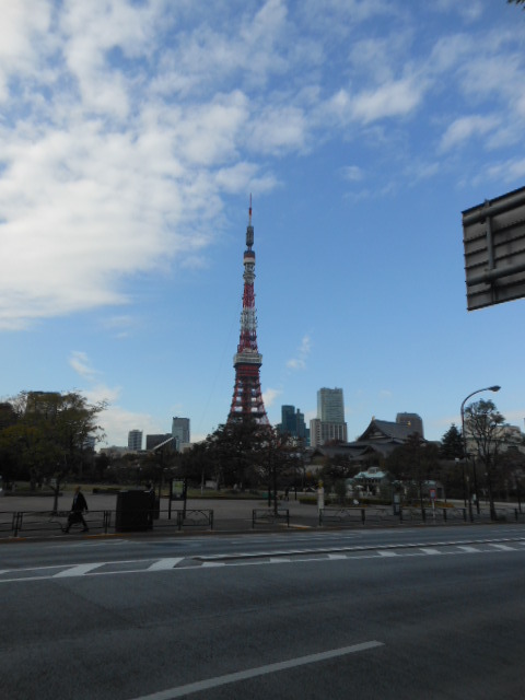 ガーラ芝御成門9階 東京タワー