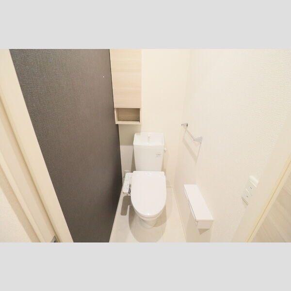 D Paina 中野島Ⅱ103号室 トイレ