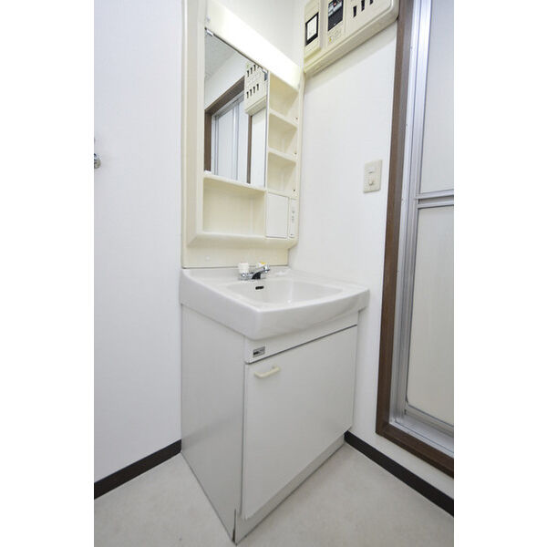 ヒルズガーデン東雪谷0302号室 洗面