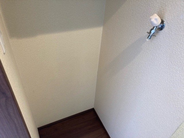 ＲＡＹ　ＨＯＵＳＥ 室内洗濯機置場