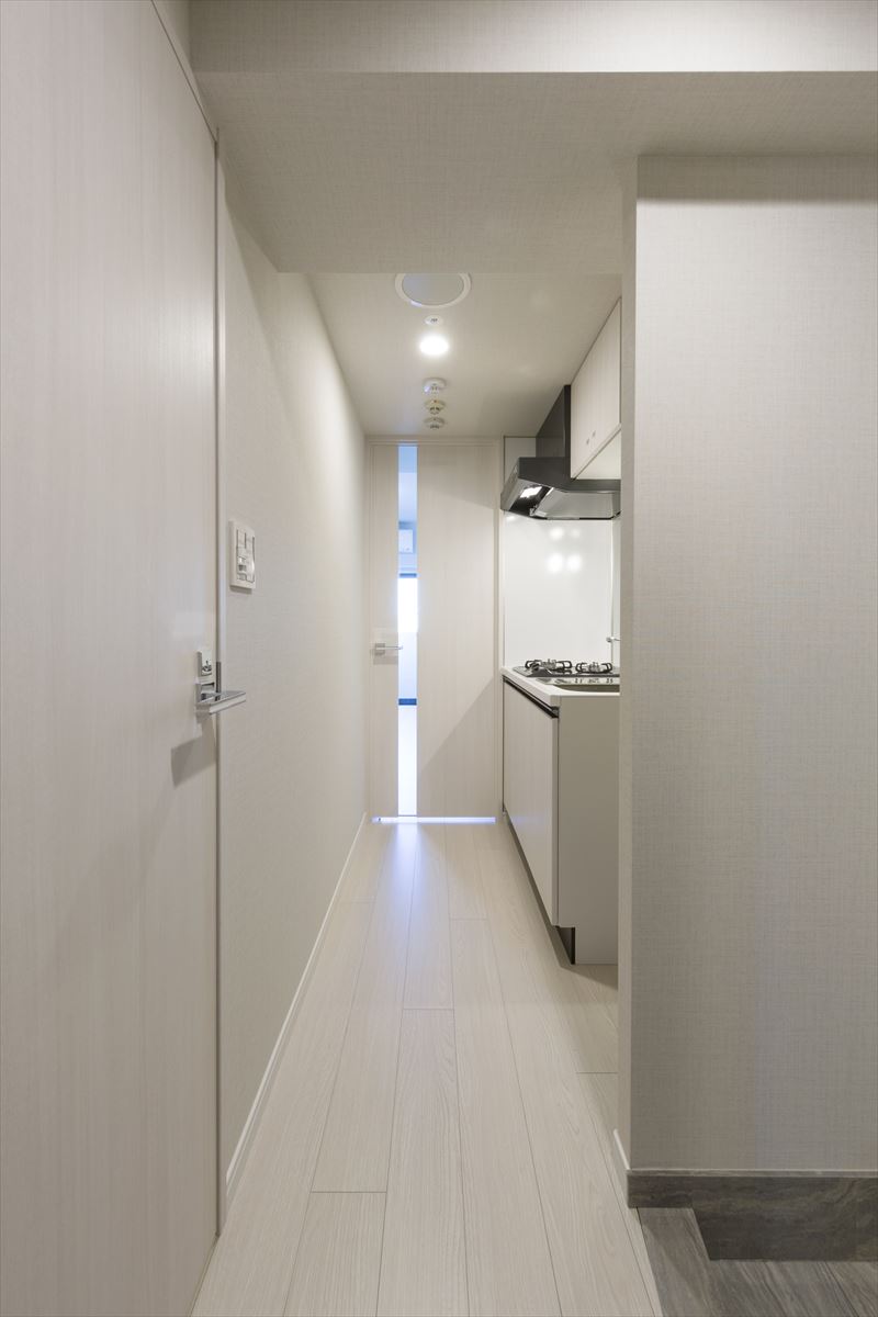 DIPS上野NORTH1102号室 玄関