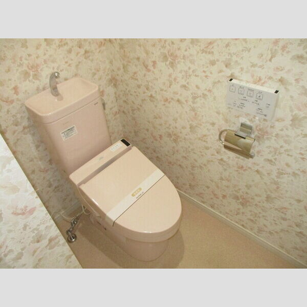 Dame Blanche(ダム ブランシェ)～白い貴婦人～ 201(トイレ)