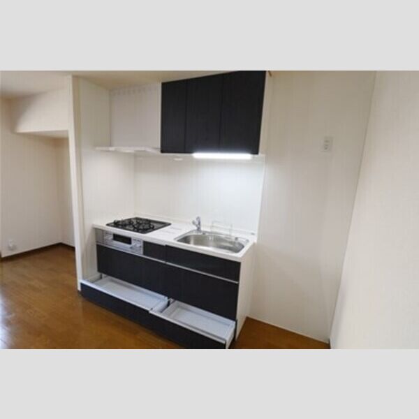 フォレストヒルズ　BB103号室 システムキッチン