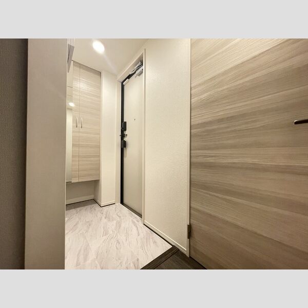 D Paina 神大寺301号室 玄関