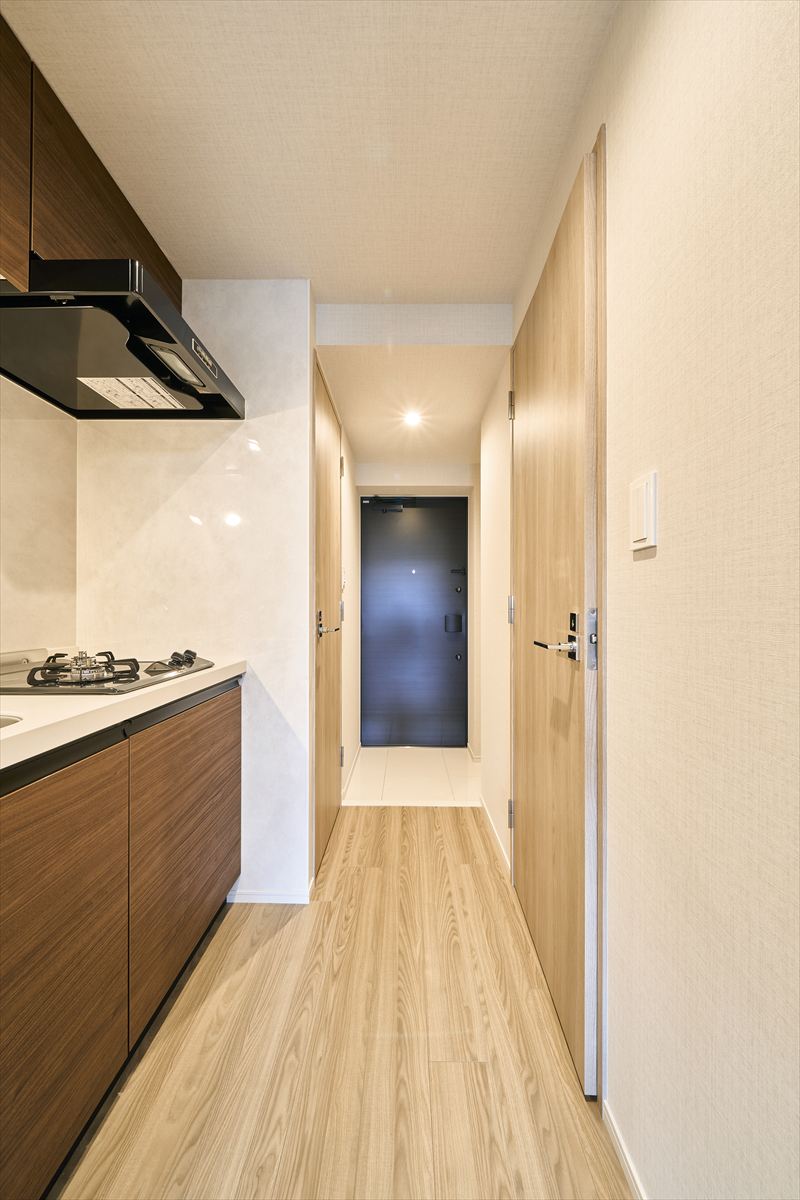 DIPS成増303号室 玄関