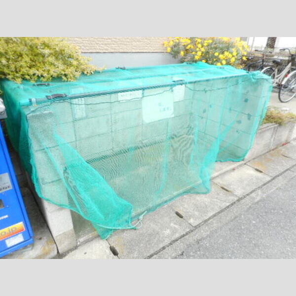 プランドール市川303号室 入居者様専用ゴミ置き場