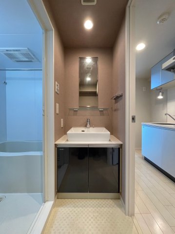 グラントゥルース本郷202号室 洗面