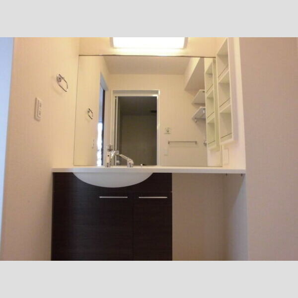 アクシスハイツ203号室 洗髪洗面化粧台