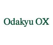 ライオンズマンション中央林間第８ OdakyuOX南林間店