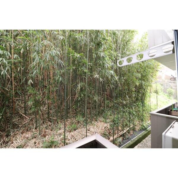 Luna　Plena101号室 部屋その他