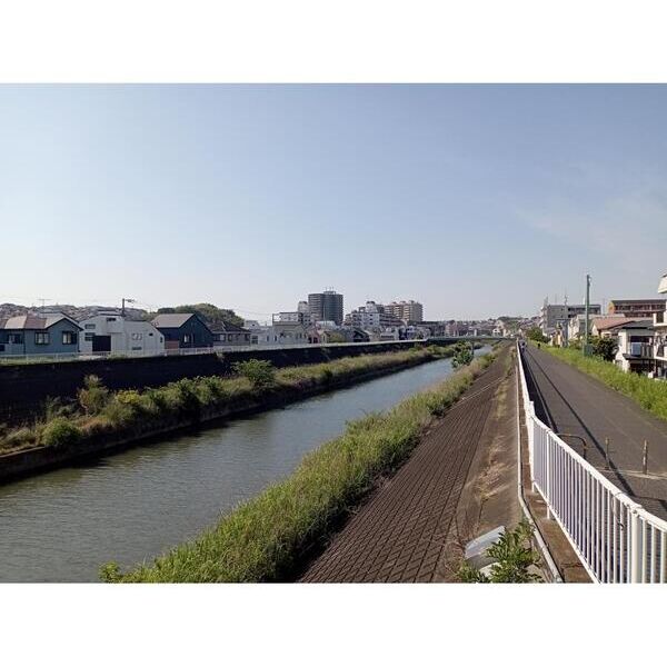 Relafort綱島206号室 周辺