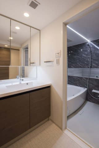 DIPS墨田RIVERSIDE203号室 キッチン