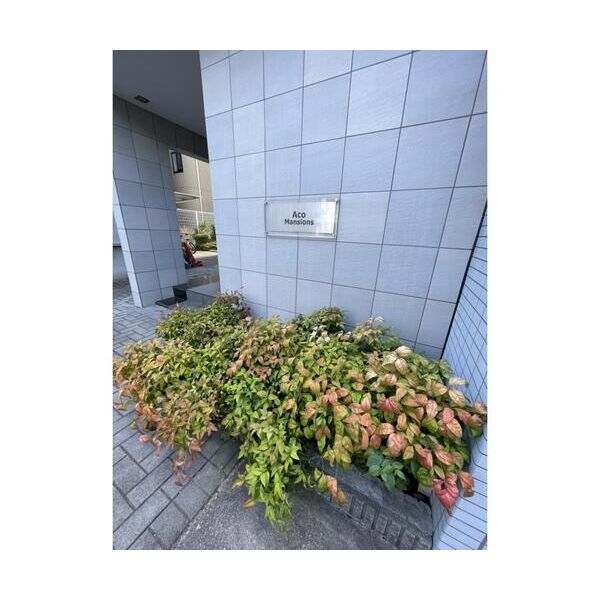 Aco　Mansions205号室 部屋その他