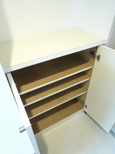 スカイコート西横浜第６1001号室 玄関