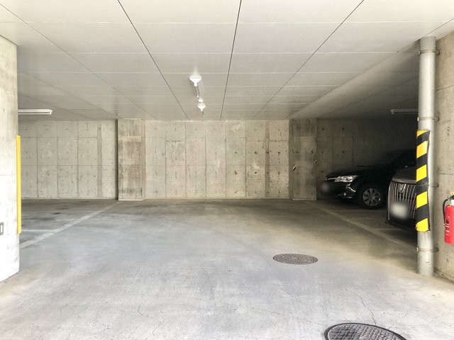 パレスグリーンヒル0505号室 駐車場