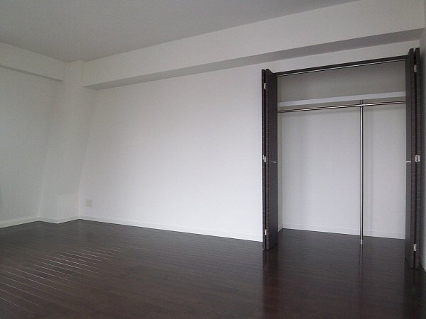 ルーチェ高輪901号室 収納