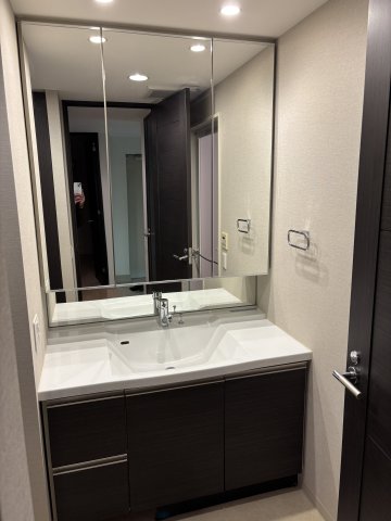 アルファグランデ葛西参番街0302号室 洗面