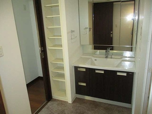 ライオンズマンション田無イーストレジデンス 3面鏡付化粧台　※2025年9月撮影