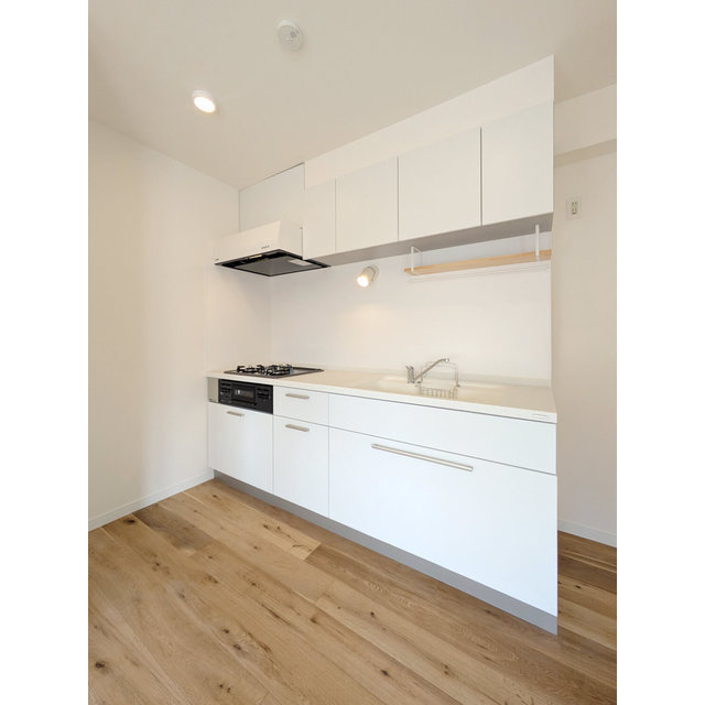 レジデンス多摩川西六郷0201号室 キッチン