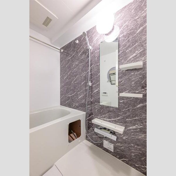 S-RESIDENCE千住大橋706号室 お風呂