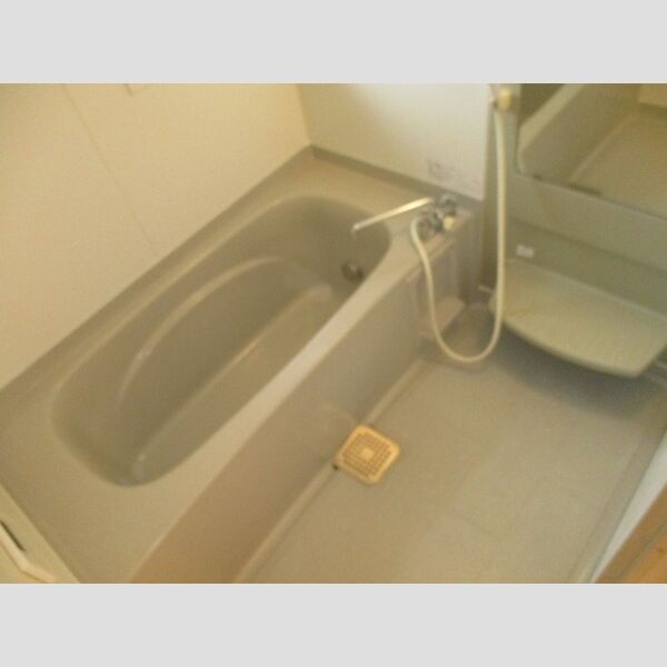 フェニックス　EFE202号室 浴室