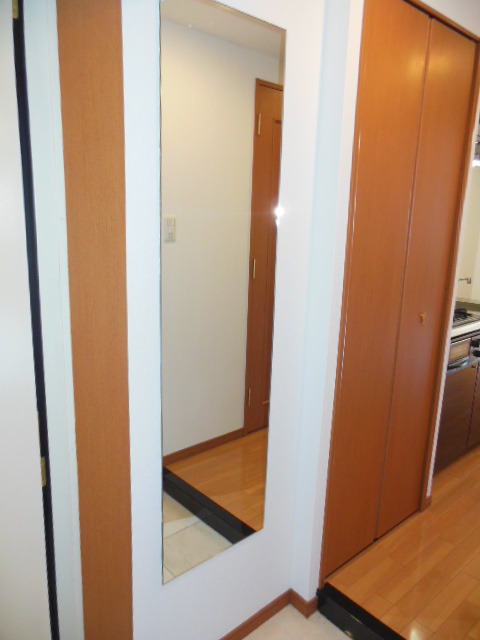 グランド・ガーラ横浜伊勢佐木町 女性に嬉しい姿見鏡♪