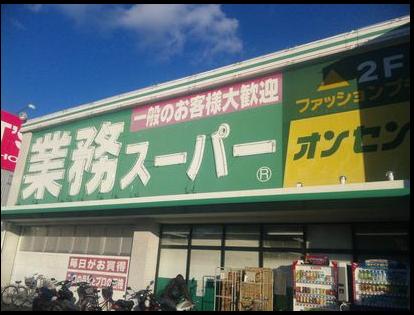 エクセル・ハイツ 業務スーパー野田店まで735ｍ