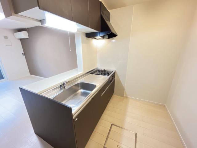 ロイヤルパレスＳ キッチン