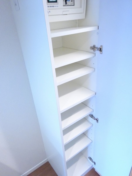 ラフィスタ宮崎台502号室 収納