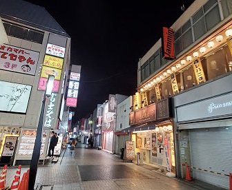 レオネクスト川越シティ403号室 周辺