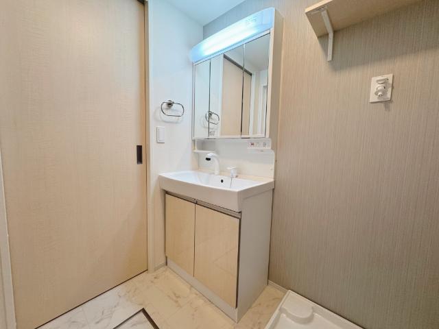 スプリングチェリーⅢ 洗髪洗面化粧台