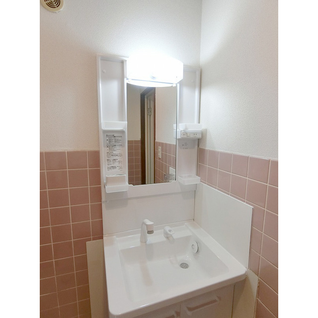 荒川5丁目貸戸建 独立洗面化粧台