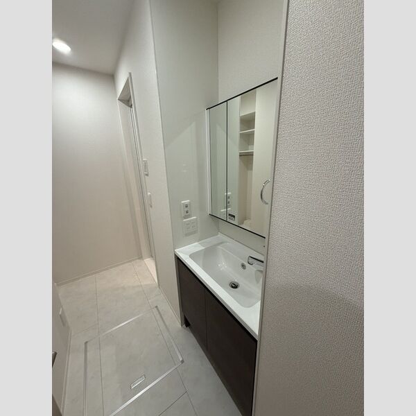 セントハイランド石神井202号室 洗髪洗面化粧台