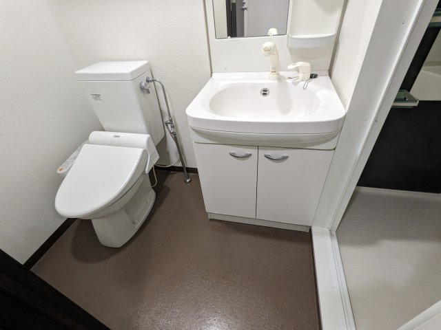 ジュモー京成船橋807号室 洗面