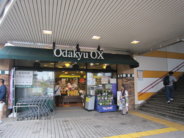 エクセレンス湘南台0301号室 OdakyuOX長後店