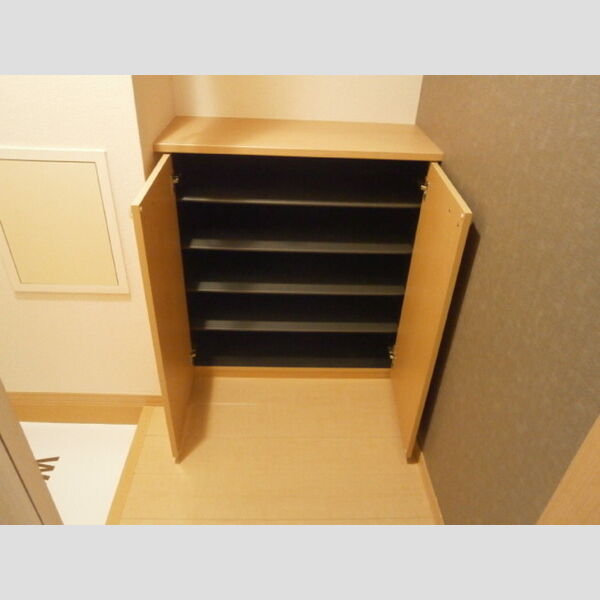 ソレアード103号室 シューズボックス下段