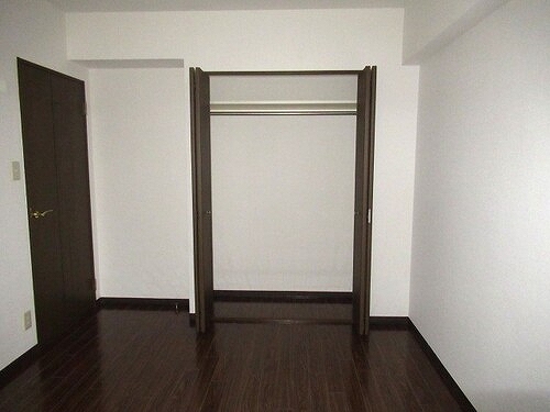 レクセルプラザ西川口6階 クロゼット（洋室）