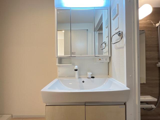 ＫＡＫＩＮＯＫＩ　ＴＥＲＲＡＣＥ105号室 洗髪洗面化粧台