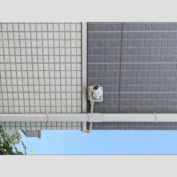 セントポーリア 周辺