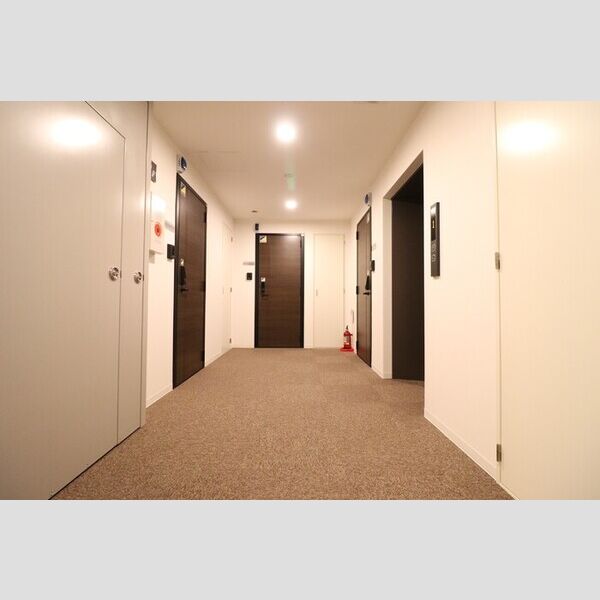 メゾン ド 常盤 周辺