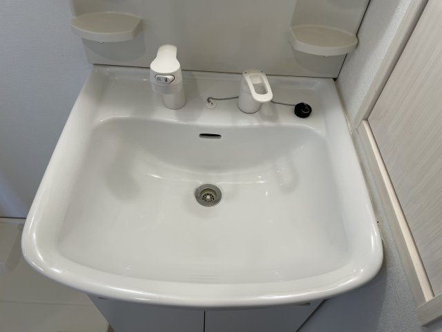 クレアール巣鴨902号室 洗面