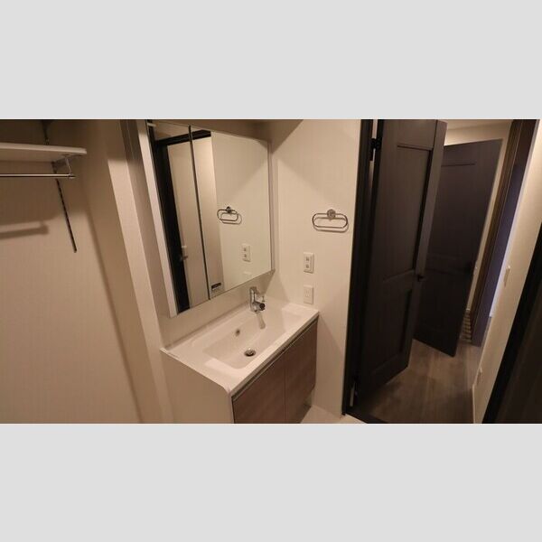 ONARIGOTENーD202号室 洗面
