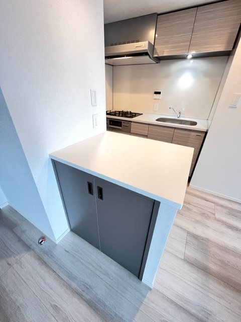 ドゥーエ日暮里 キッチン