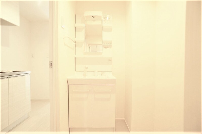 リブリ・フチュール二俣川 洗面