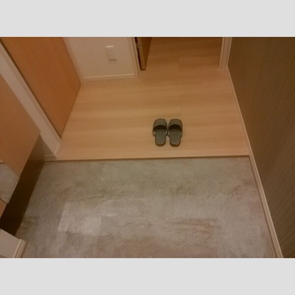 エミナーレ302号室 玄関