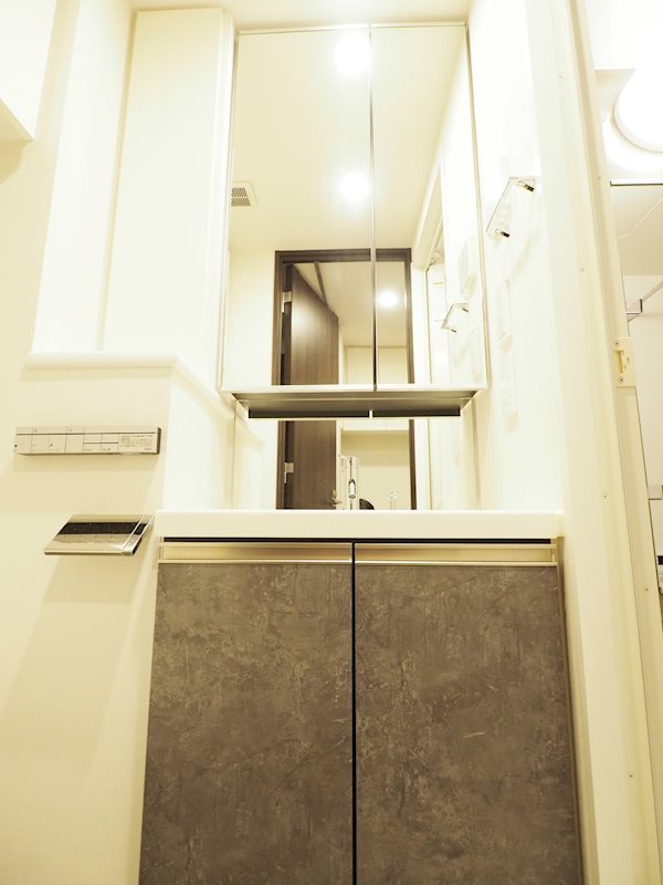 レジディア門前仲町プレイス8階 洗面