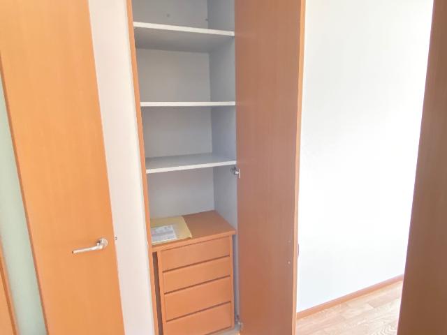 コンテント 収納