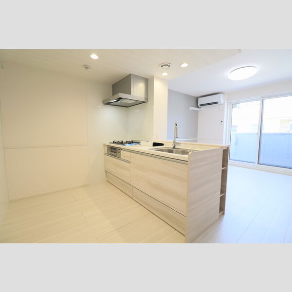 D Paina Egawa Ⅰ203号室 キッチン